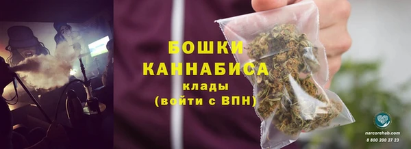 СК Снежногорск