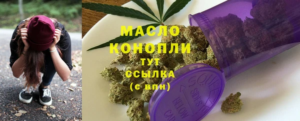 СК Снежногорск