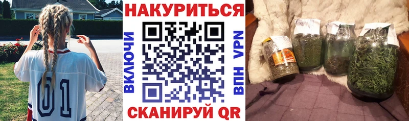 МЕГА маркетплейс  как найти наркотики  Ярославль  Конопля сатива 